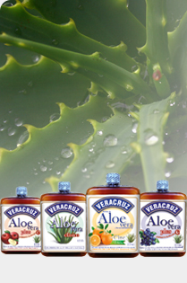 Aloe Vera Gel Antiséptico